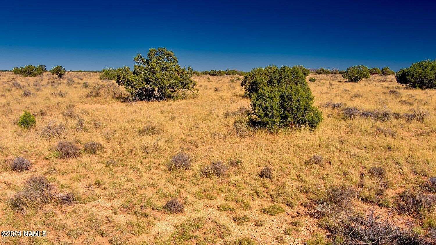1 Acre of Land for Sale in Williams, Arizona