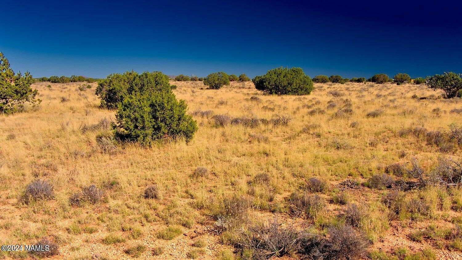 1.15 Acres of Land for Sale in Williams, Arizona