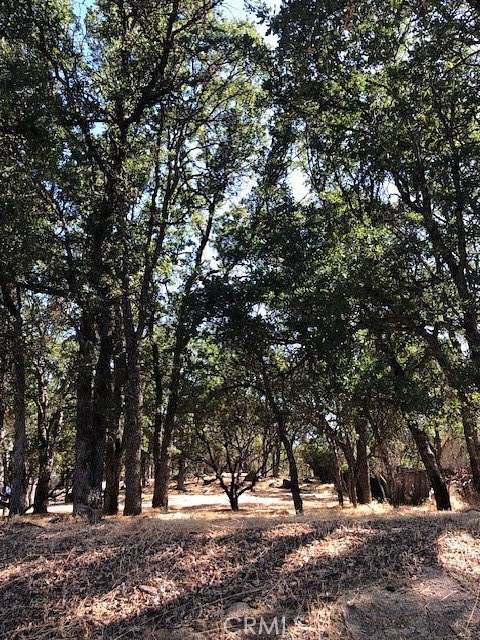 0.28 Acres of Residential Land for Sale in Hidden Valley Lake, California