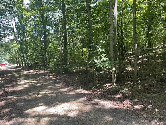 2.38 Acres of Residential Land for Sale in Summerville, Georgia