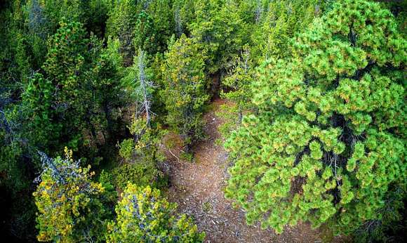 2.77 Acres of Residential Land for Sale in Idaho Springs, Colorado