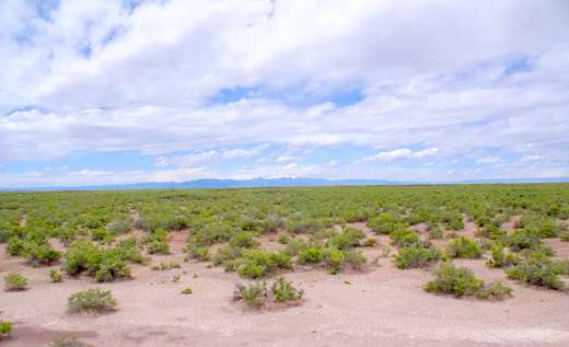 5 Acres of Residential Land for Sale in Mosca, Colorado