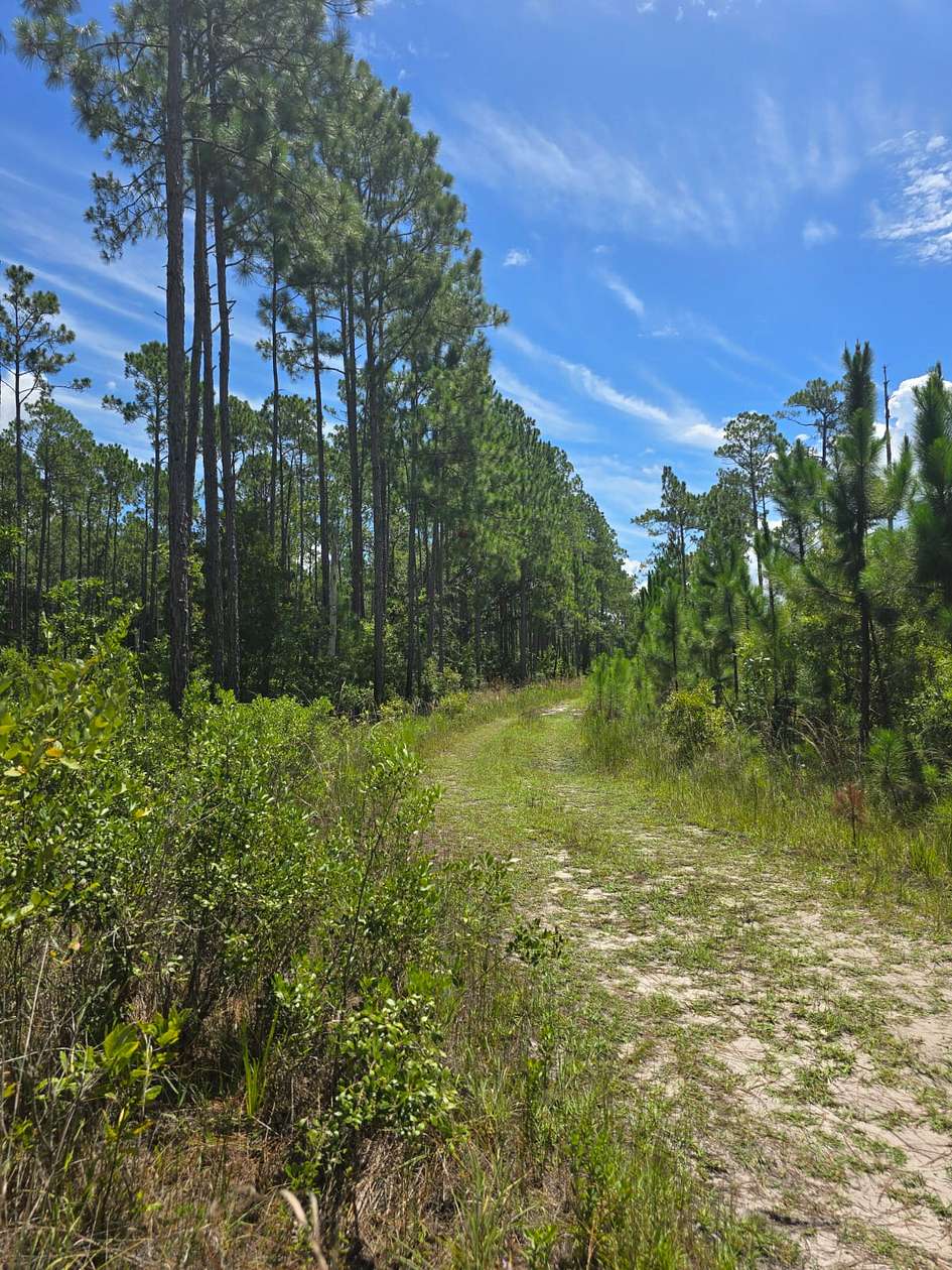 2.14 Acres of Residential Land for Sale in Palatka, Florida