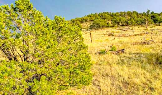 2.61 Acres of Residential Land for Sale in Cotopaxi, Colorado