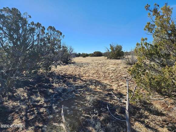 5 Acres of Residential Land for Sale in Concho, Arizona