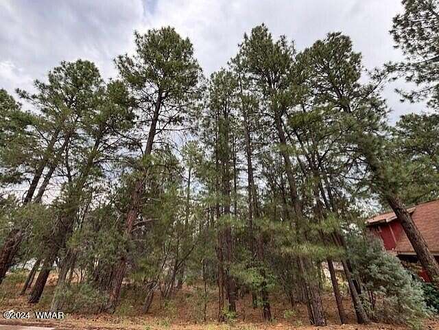 0.16 Acres of Residential Land for Sale in Show Low, Arizona