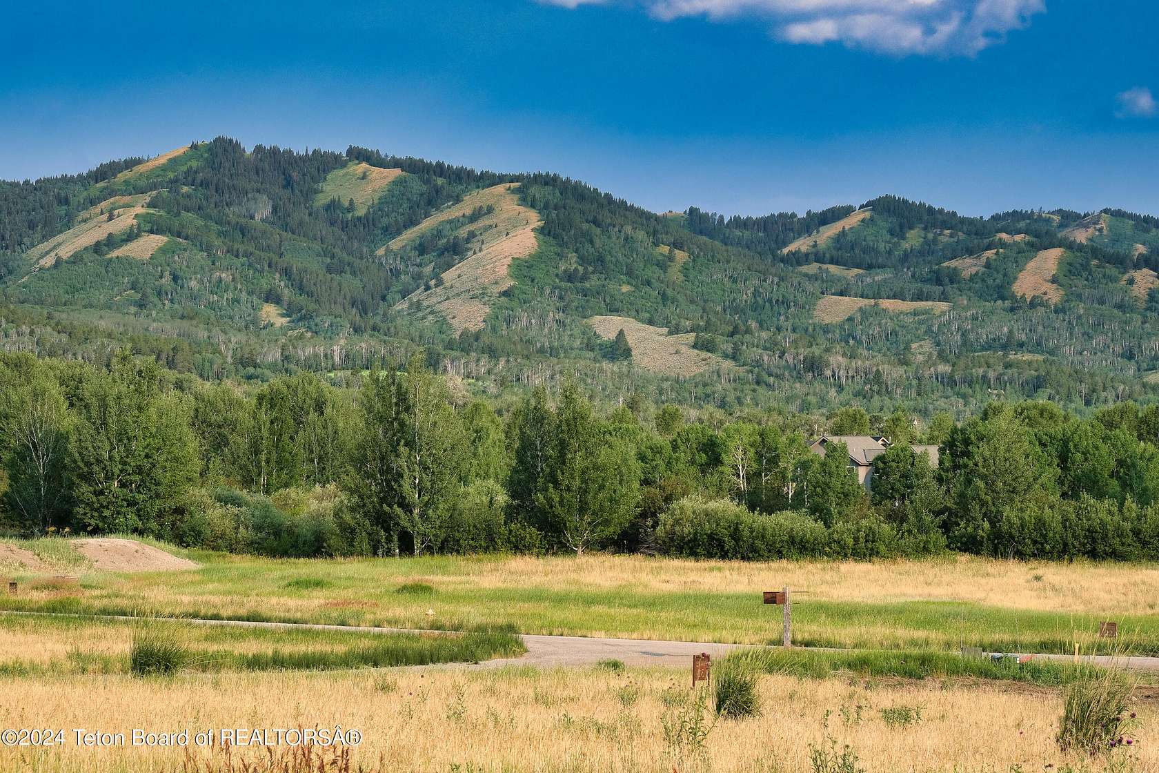 0.82 Acres of Residential Land for Sale in Victor, Idaho