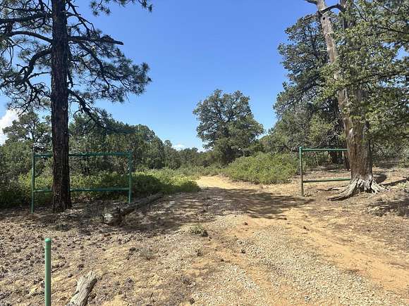 20 Acres of Recreational Land & Farm for Sale in Pie Town, New Mexico