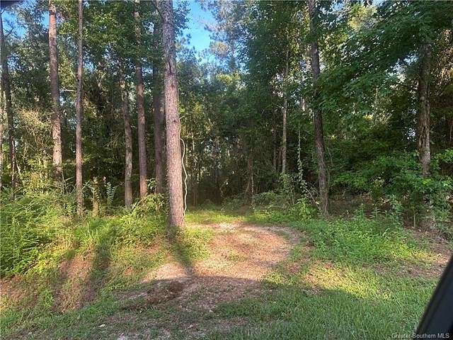 Land for Sale in Ragley, Louisiana