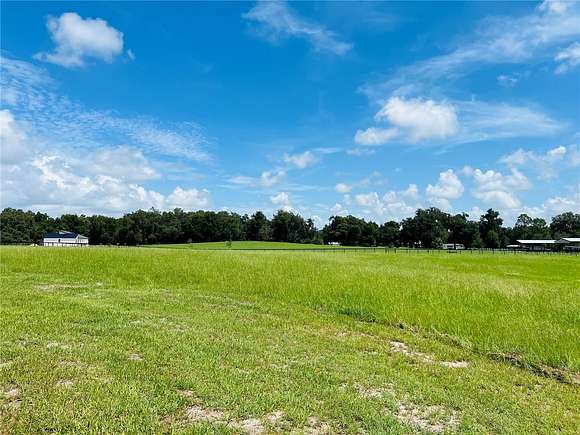 12.45 Acres of Land for Sale in Webster, Florida