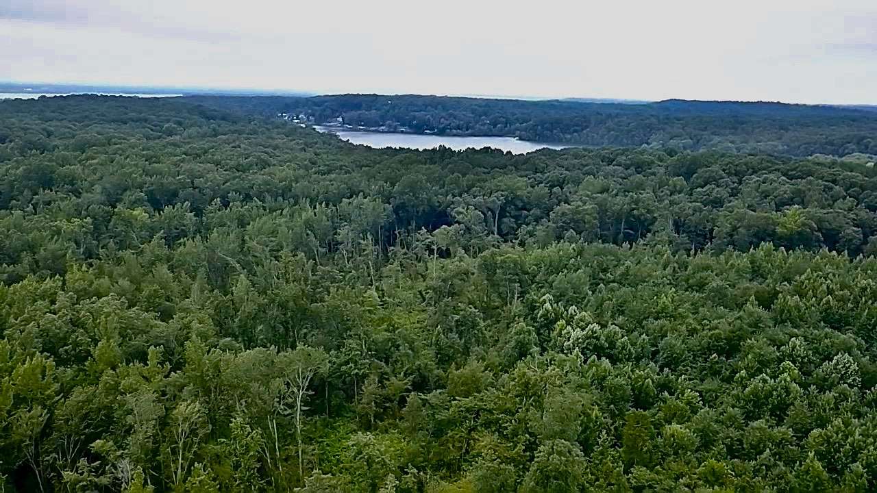 54 Acres of Recreational Land for Sale in Eva, Tennessee