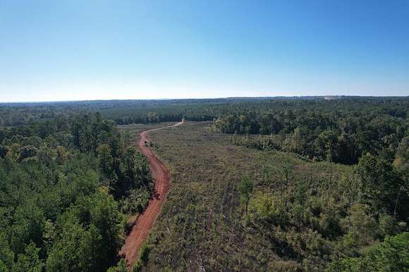 296 Acres of Recreational Land for Sale in Lufkin, Texas