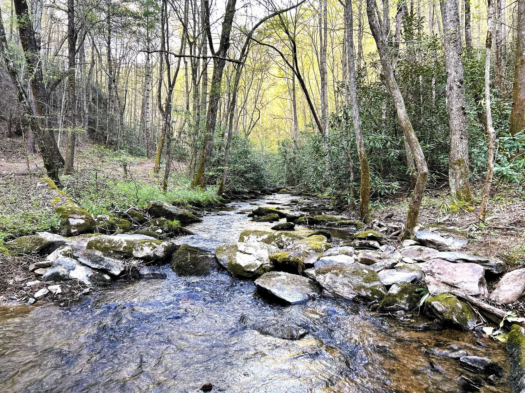 40 Acres of Recreational Land for Sale in Tellico Plains, Tennessee ...