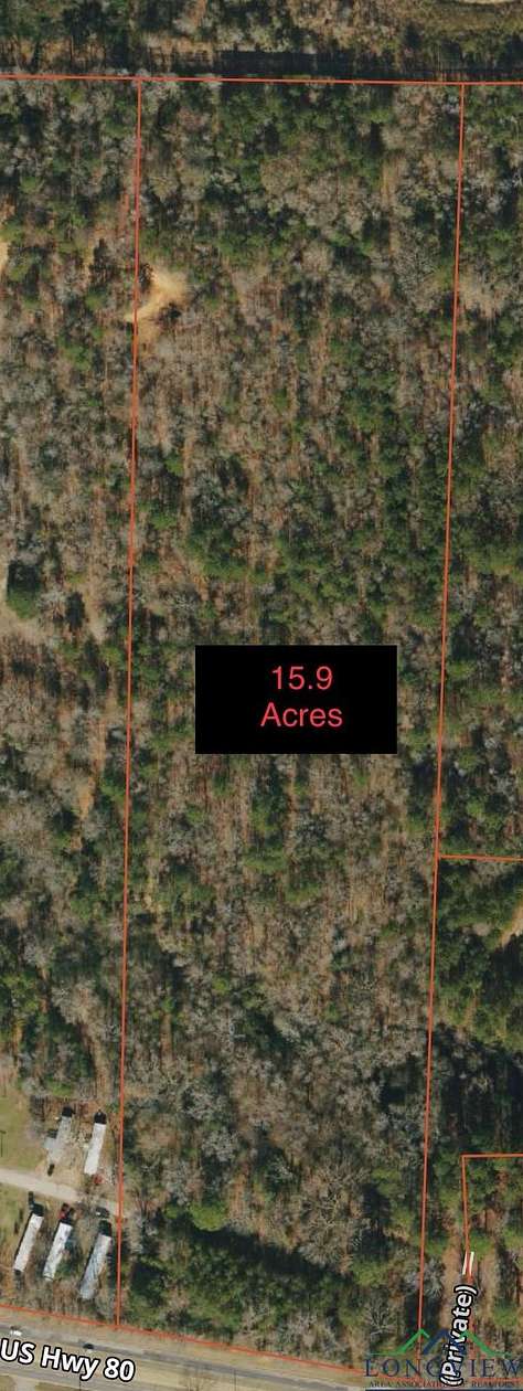 15.9 Acres of Land for Sale in Gladewater, Texas