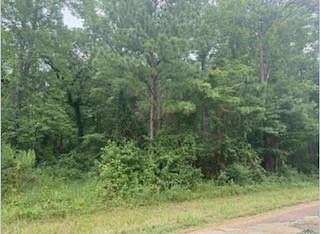 7.212 Acres of Residential Land for Sale in Elysian Fields, Texas