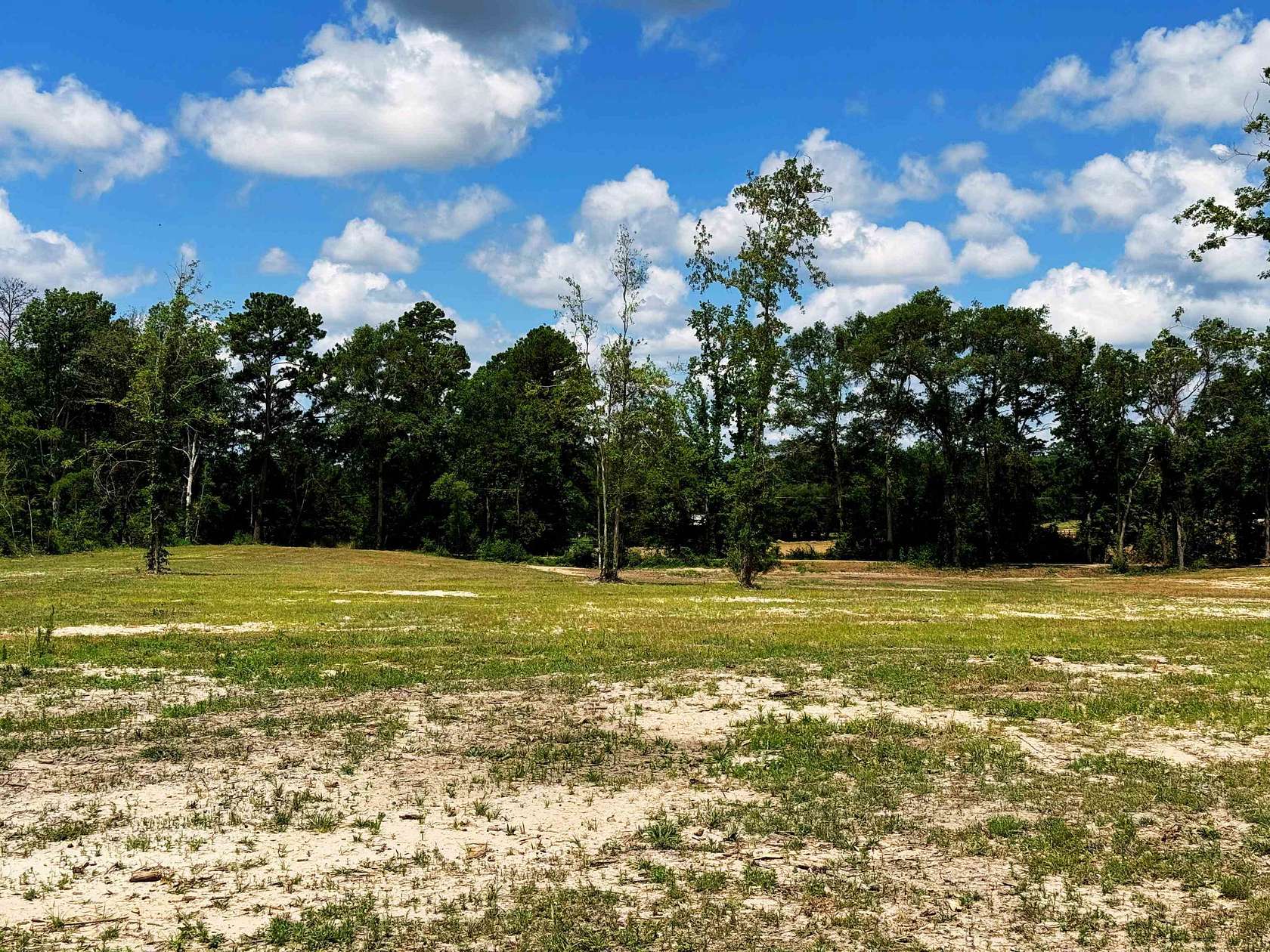 12.9 Acres of Land for Sale in Jasper, Texas