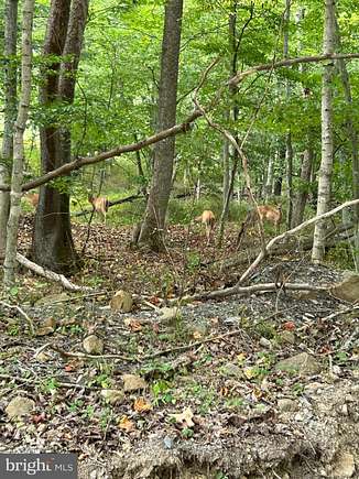 5.74 Acres of Residential Land for Sale in Romney, West Virginia