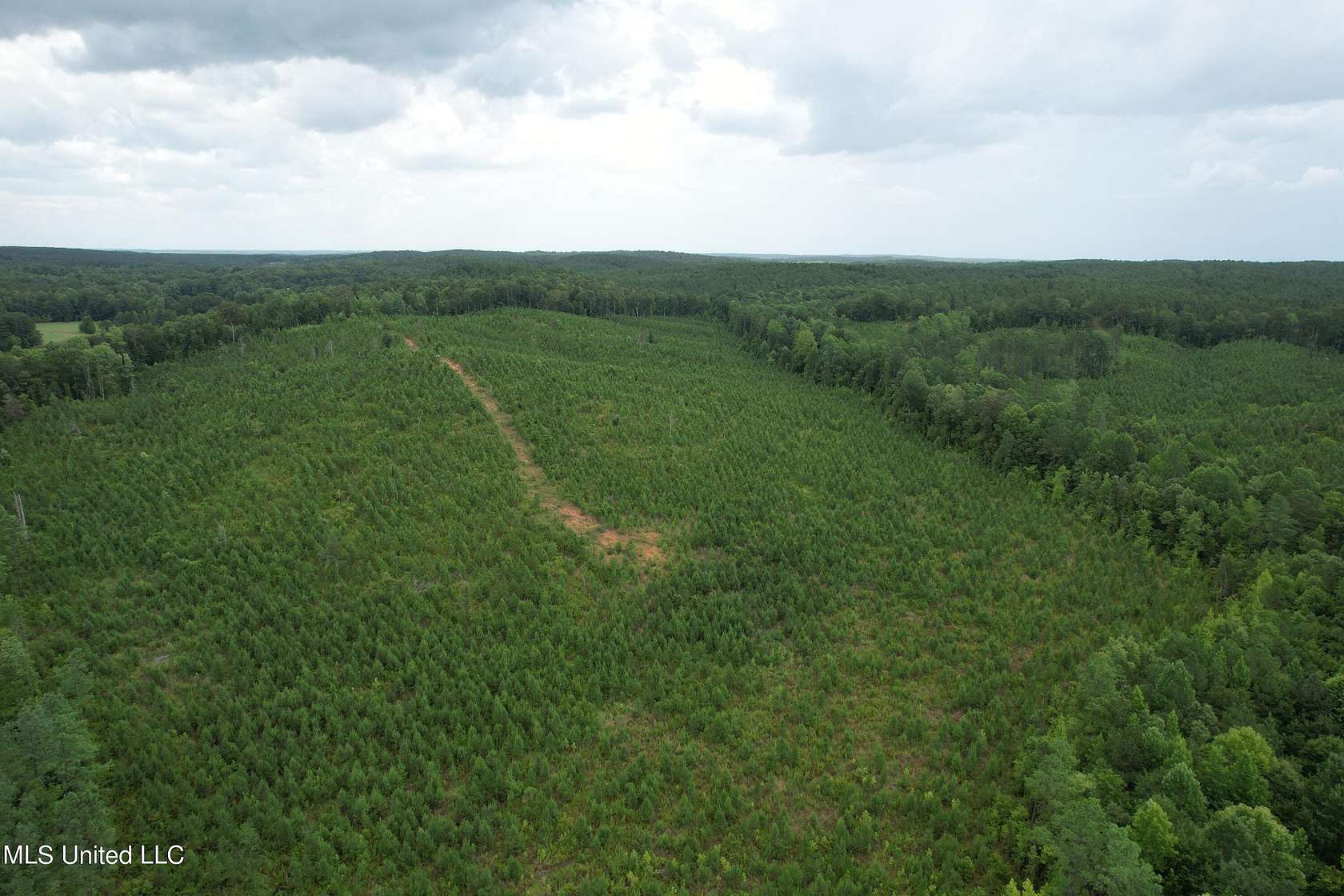 75.9 Acres of Recreational Land for Sale in Paris, Mississippi