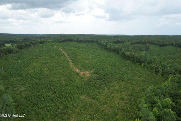 75.9 Acres of Recreational Land for Sale in Paris, Mississippi