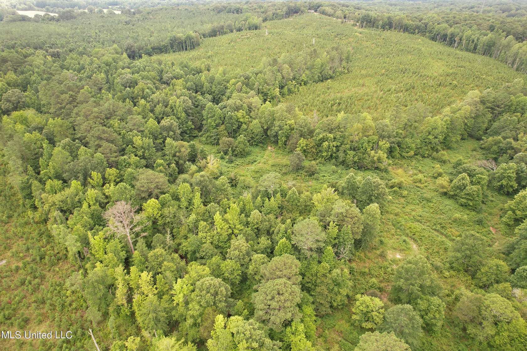 108 Acres of Recreational Land for Sale in Paris, Mississippi