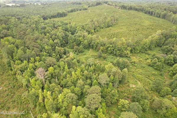 108 Acres of Recreational Land for Sale in Paris, Mississippi