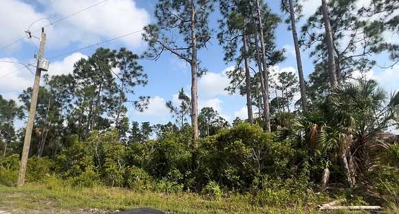 0.23 Acres of Residential Land for Sale in Port Charlotte, Florida