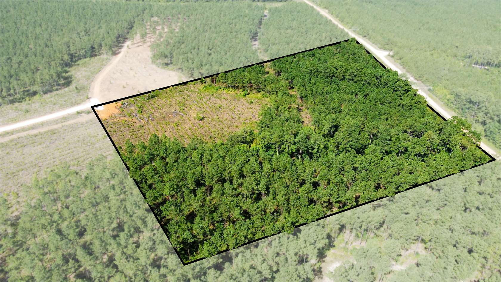 12.42 Acres of Land for Sale in Livingston, Texas