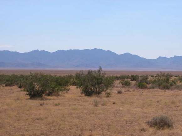 10 Acres of Residential Land for Sale in Topock, Arizona