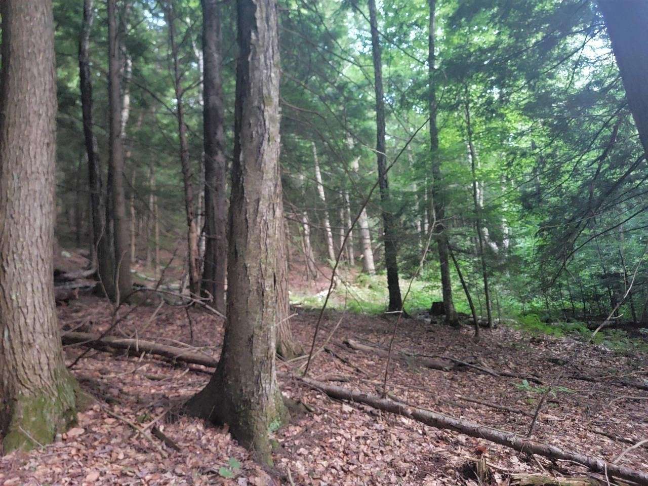 35.5 Acres of Recreational Land for Sale in Westminster, Vermont