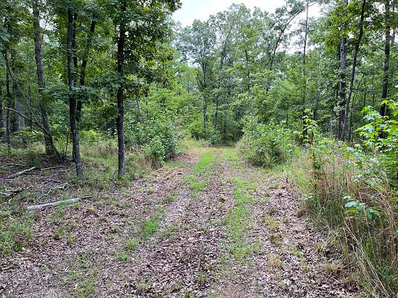 36.1 Acres of Land for Sale in Marshall, Arkansas