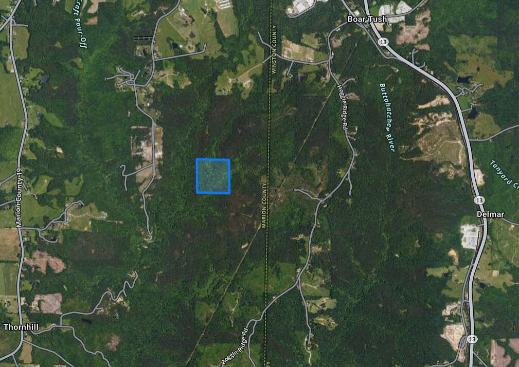 39 Acres of Recreational Land for Sale in Haleyville, Alabama