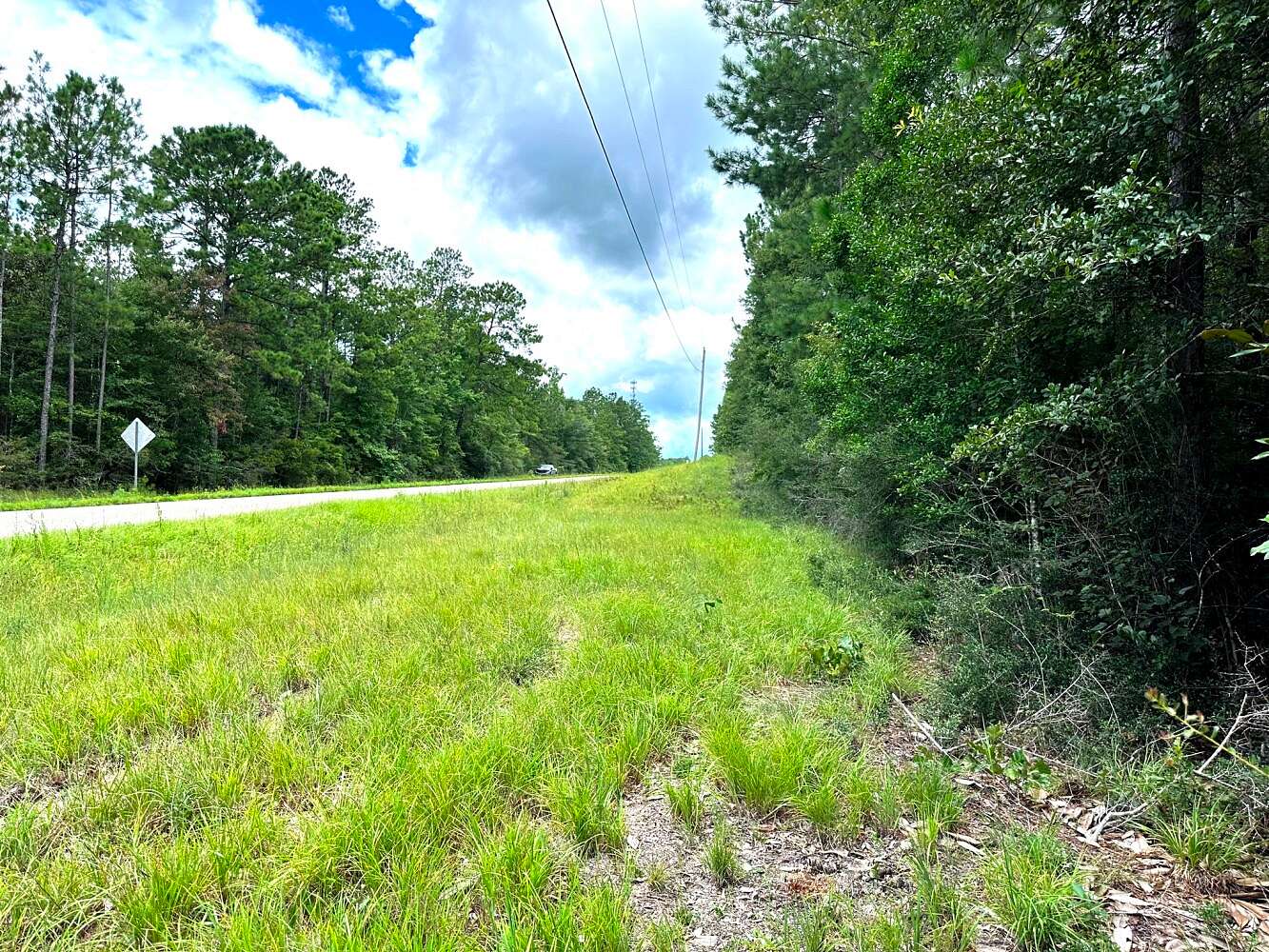 11.5 Acres of Land for Sale in Wiggins, Mississippi