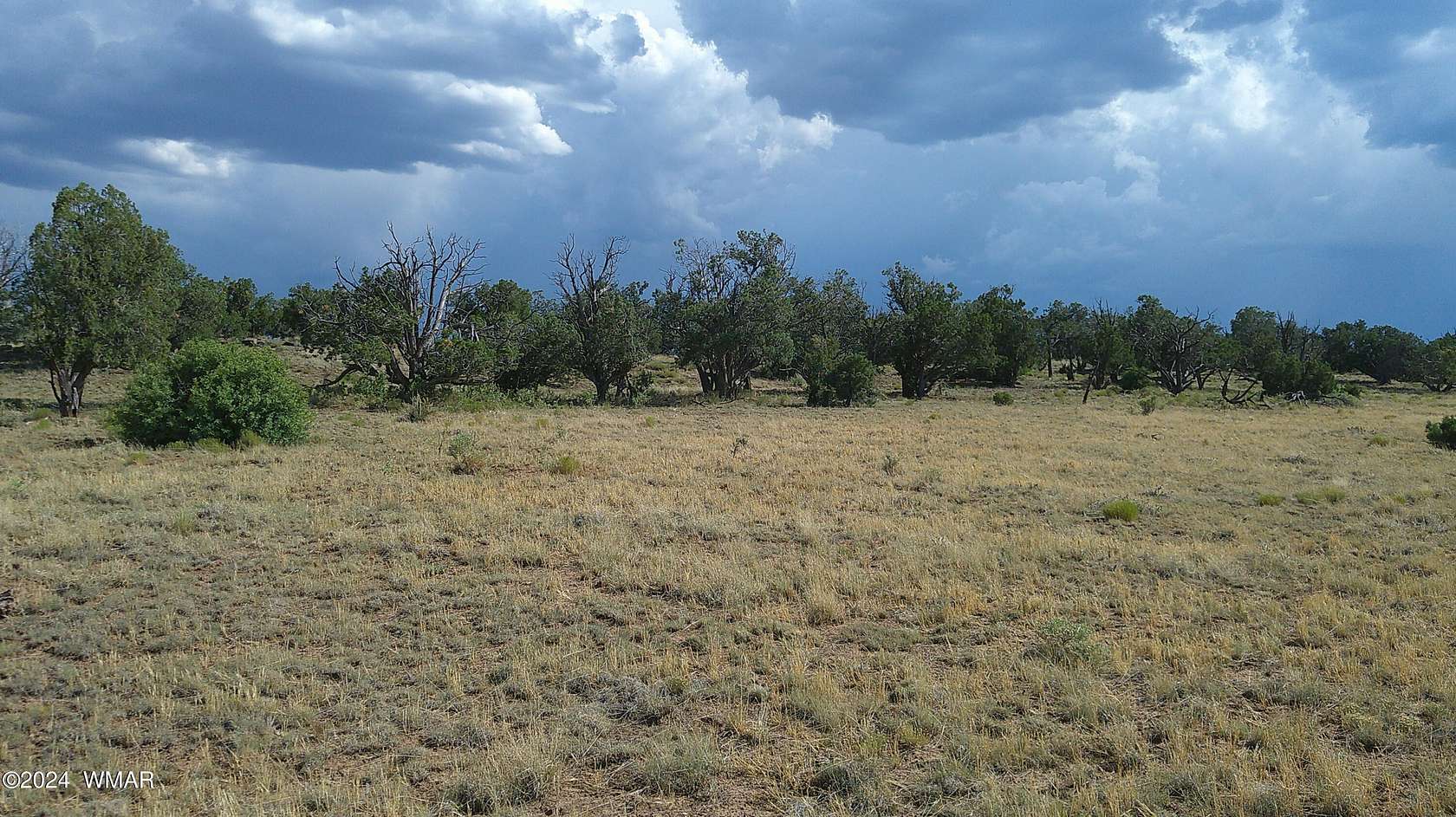 84.82 Acres of Agricultural Land for Sale in Concho, Arizona