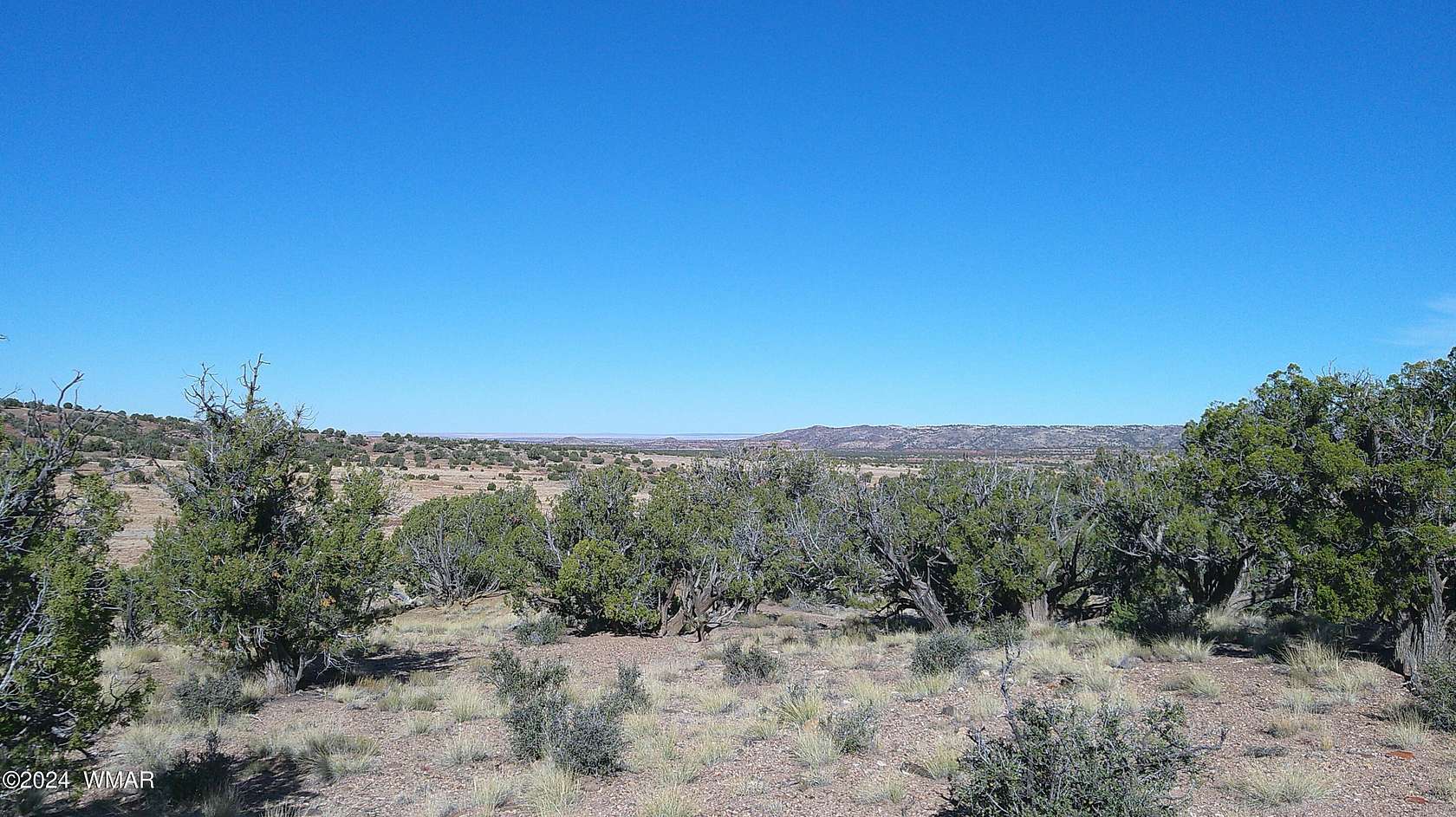 125.81 Acres of Land for Sale in Concho, Arizona