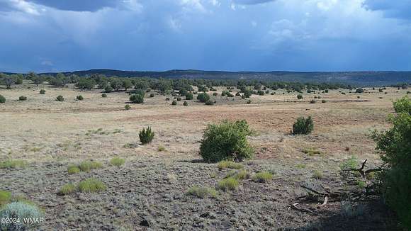 125.81 Acres of Land for Sale in Concho, Arizona - LandSearch