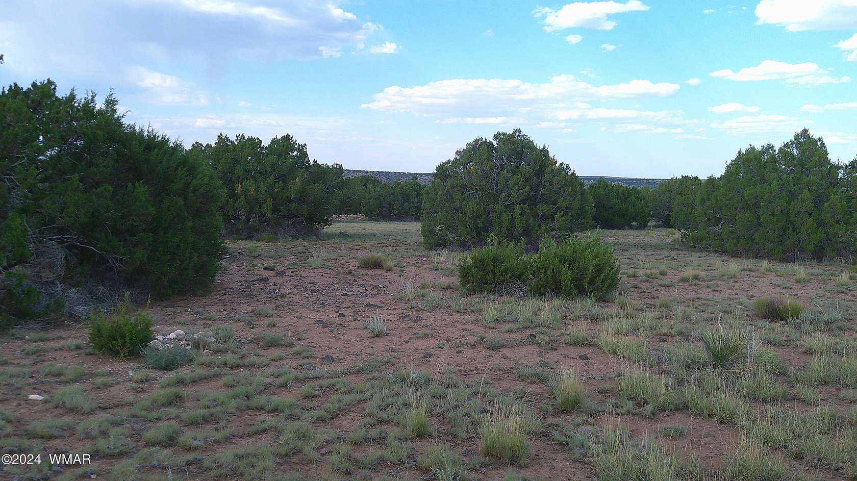 11.04 Acres of Recreational Land for Sale in Concho, Arizona