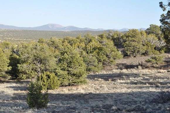 22.96 Acres of Recreational Land for Sale in Vernon, Arizona