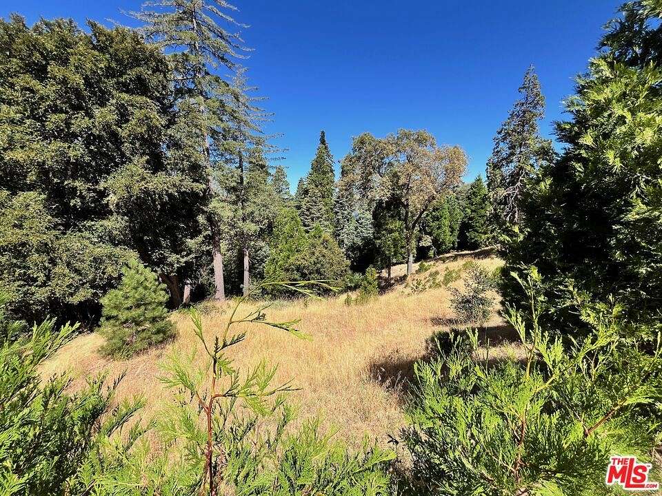 0.233 Acres of Residential Land for Sale in Lake Arrowhead, California