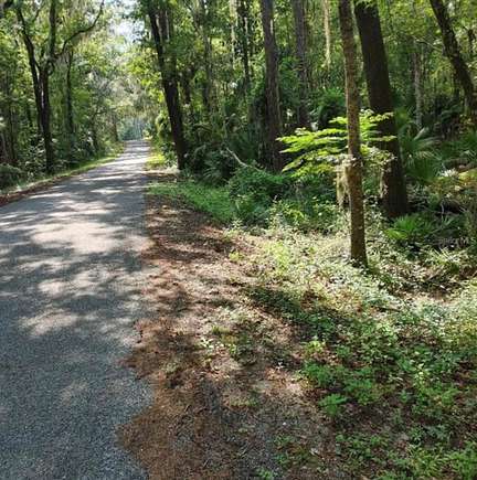 3.46 Acres of Residential Land for Sale in Micanopy, Florida