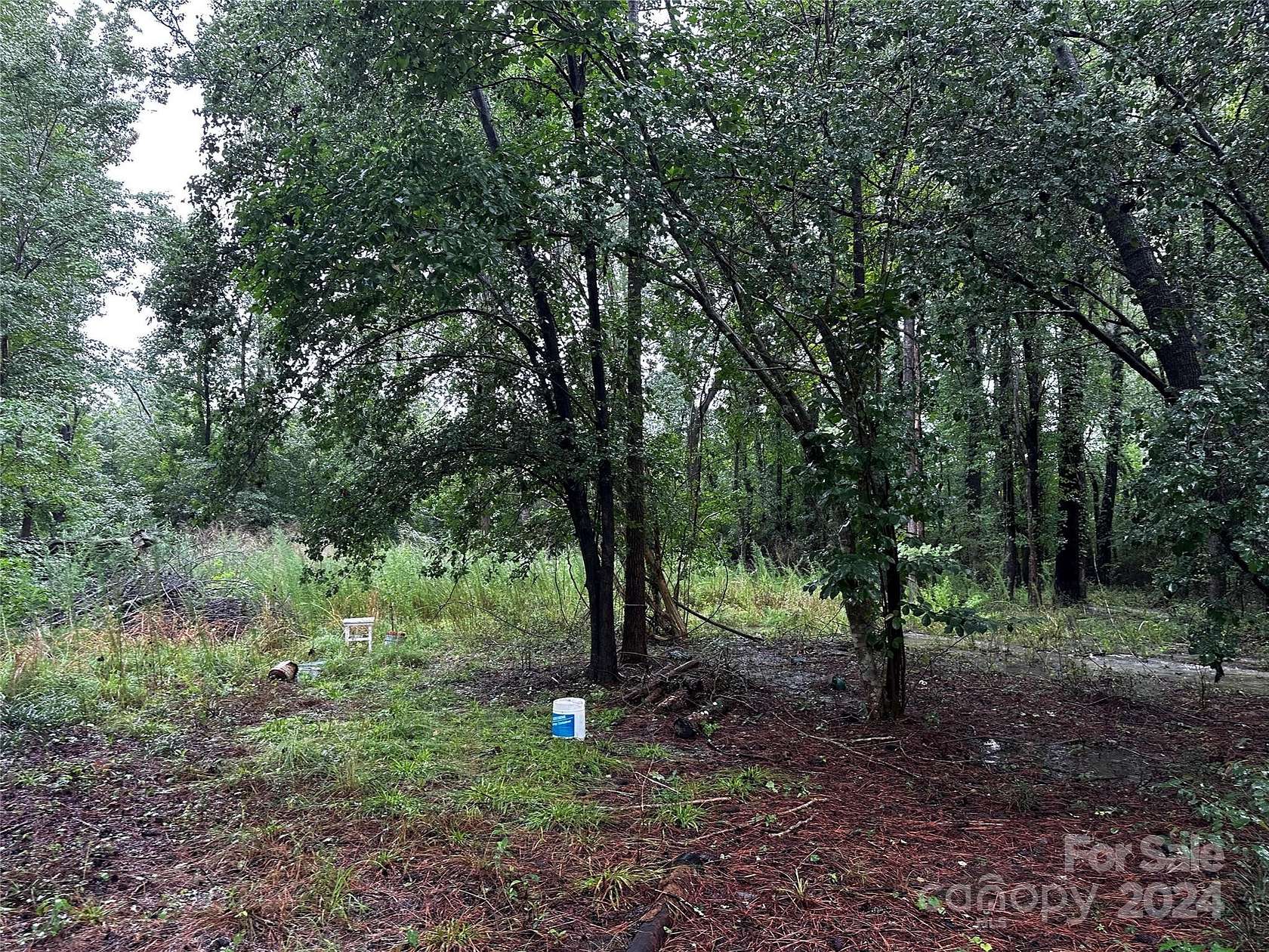 1 Acre of Residential Land for Sale in Patrick, South Carolina