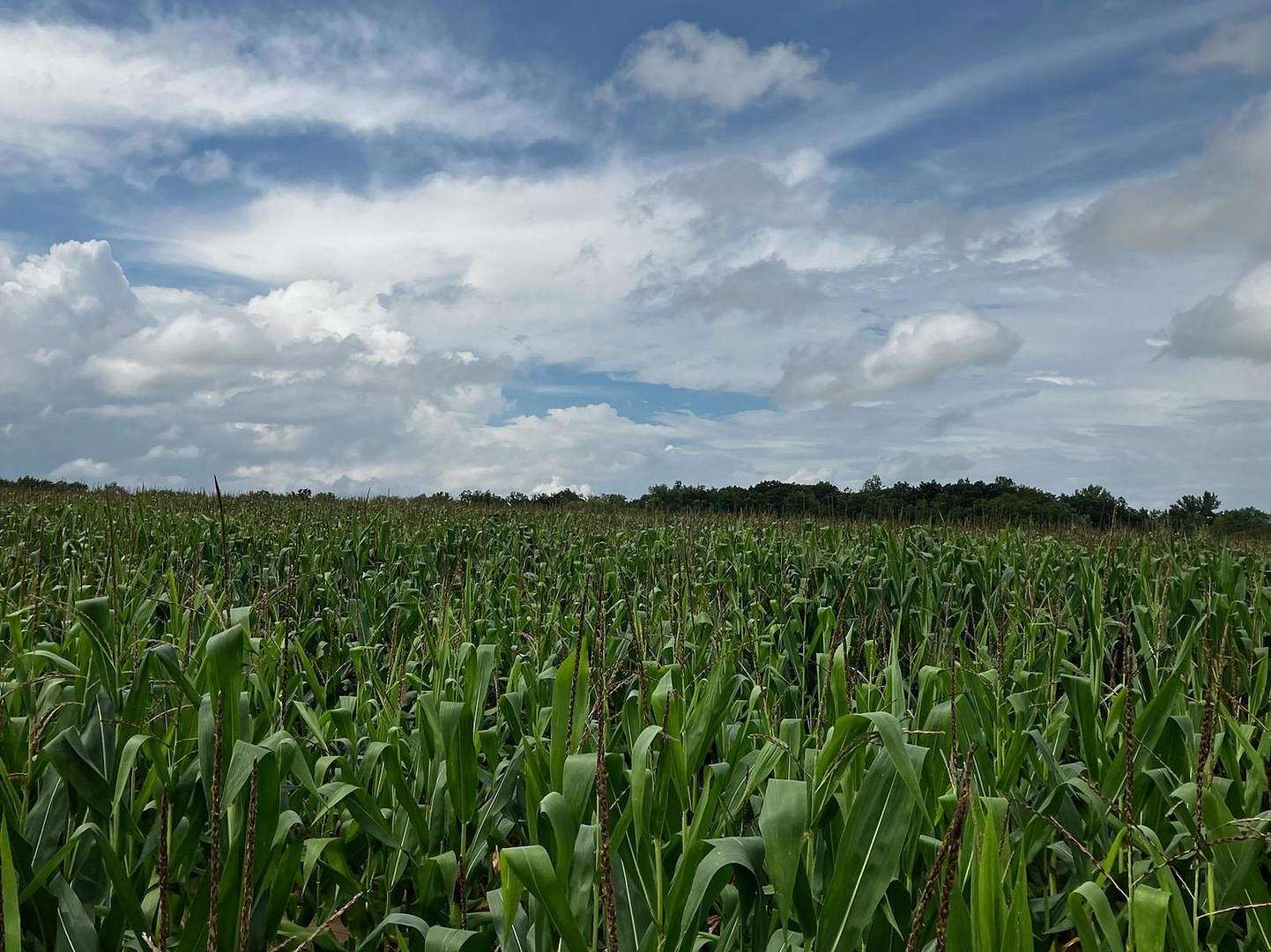 49 Acres of Agricultural Land for Sale in Garden Prairie, Illinois