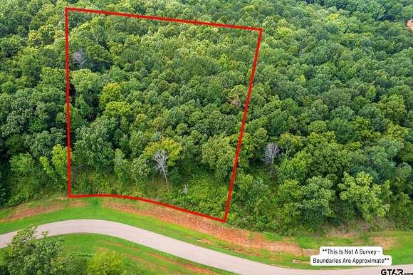 3.214 Acres of Residential Land for Sale in Leesburg, Texas