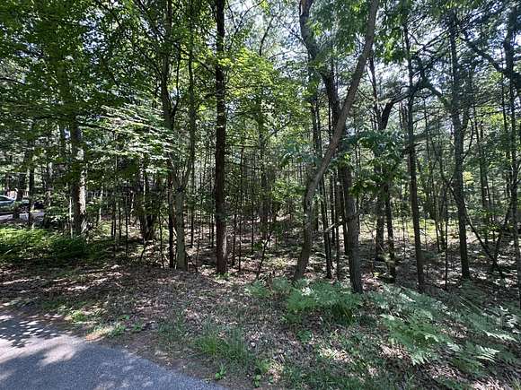 0.18 Acres of Land for Sale in Pentwater, Michigan