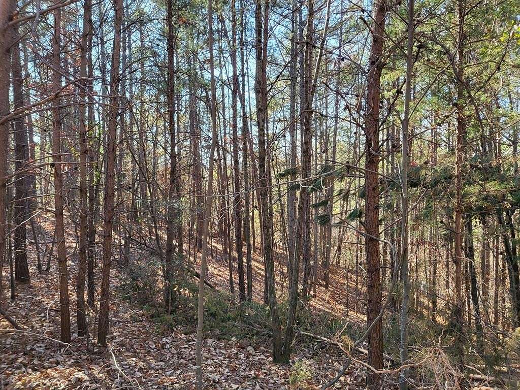 16.34 Acres of Land for Sale in Chatsworth, Georgia