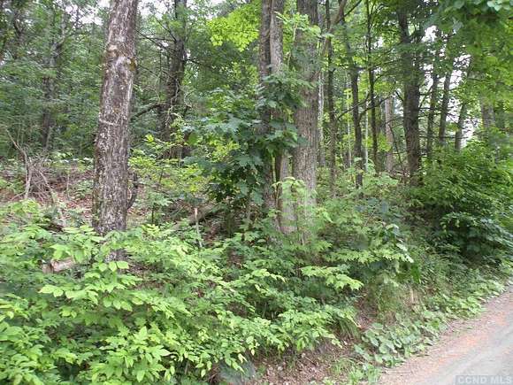 61 Acres of Recreational Land for Sale in New Lebanon, New York