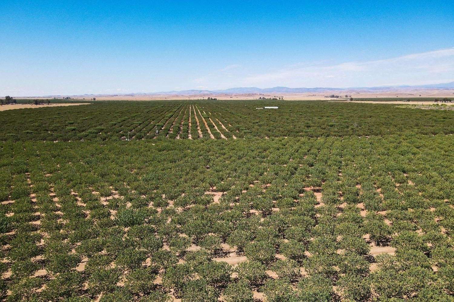 901.91 Acres of Land for Sale in Le Grand, California