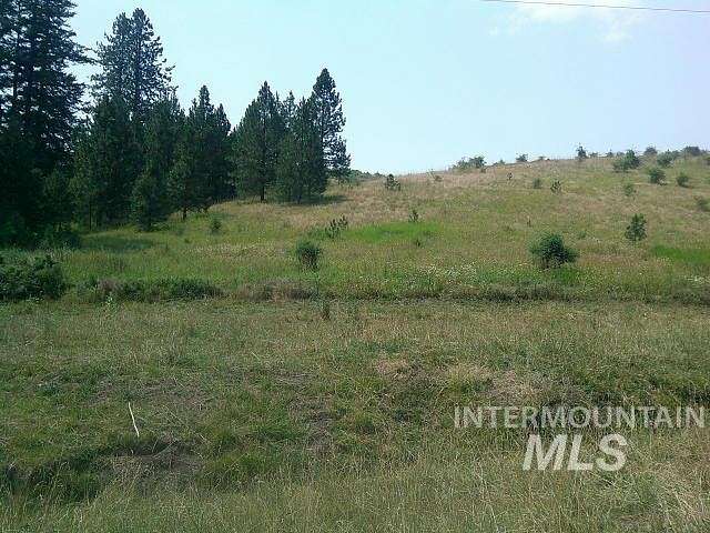 114.06 Acres of Agricultural Land for Sale in Kamiah, Idaho