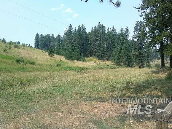 114.06 Acres of Agricultural Land for Sale in Kamiah, Idaho