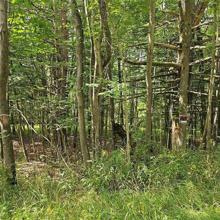 1.13 Acres of Residential Land for Sale in Binghamton, New York