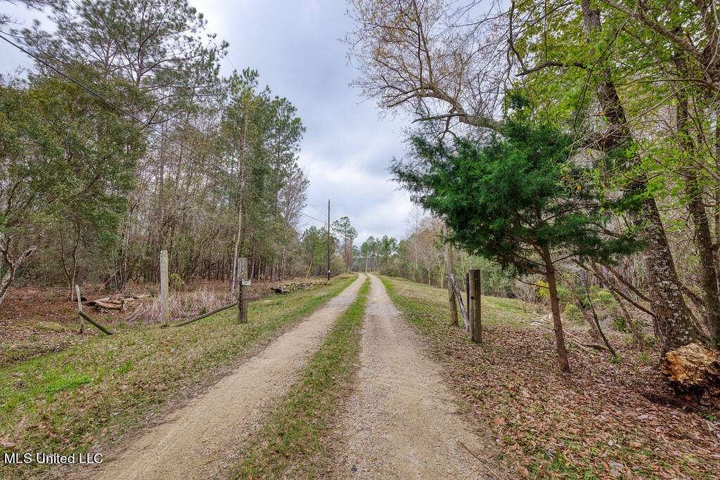 20 Acres of Land for Sale in Vancleave, Mississippi